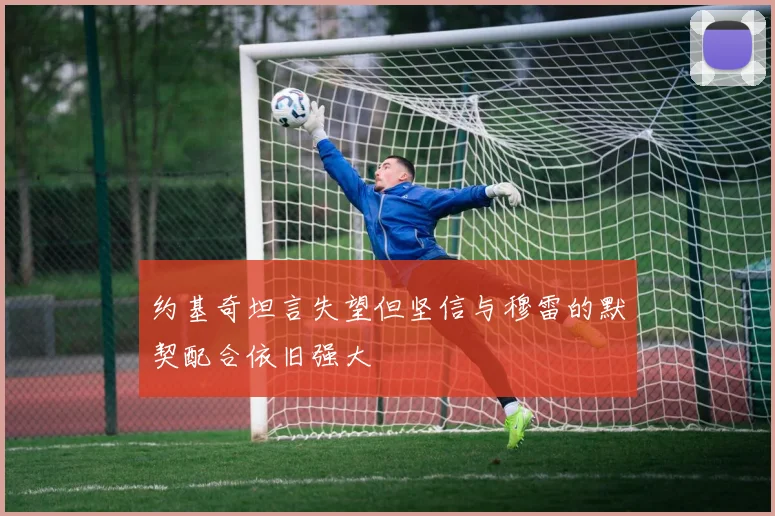 约基奇坦言失望但坚信与穆雷的默契配合依旧强大